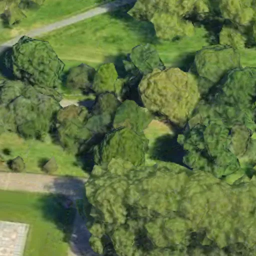Render of trees near the Albert Memorial